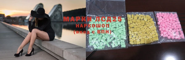 спайс Покачи