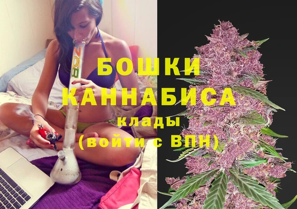 спайс Покачи