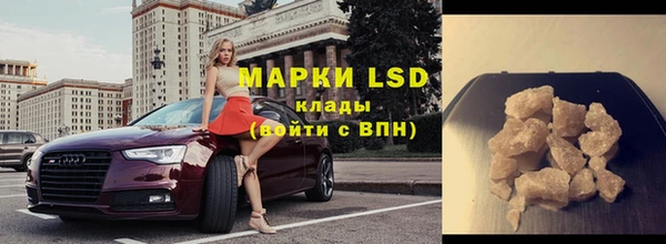 спайс Покачи